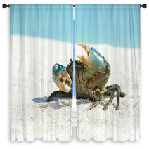 Crab On Beach Window Curtains 97632090