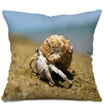  Crab Pillows 88768445