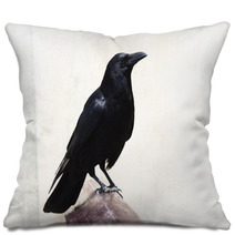 Crow Pillows 84385676