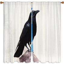 Crow Window Curtains 84385676