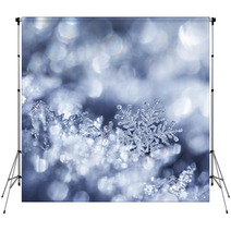 Crystal Forest Backdrops 56570434