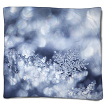 Crystal Forest Blankets 56570434