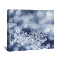 Crystal Forest Wall Art 56570434