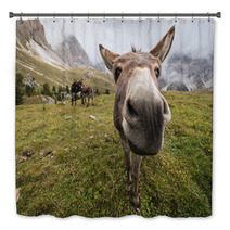 Curious Donkey In Dolomites Bath Decor 71572950