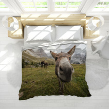 Curious Donkey In Dolomites Bedding 71572950