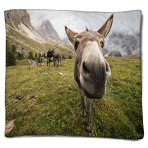 Curious Donkey In Dolomites Blankets 71572950