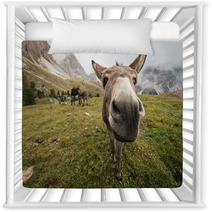 Curious Donkey In Dolomites Nursery Decor 71572950
