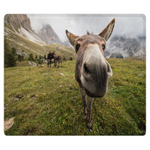 Curious Donkey In Dolomites Rugs 71572950