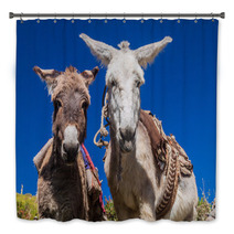 Curious Donkeys In Cabanaconde Village, Peru Bath Decor 98932888
