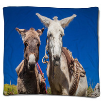 Curious Donkeys In Cabanaconde Village, Peru Blankets 98932888