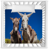 Curious Donkeys In Cabanaconde Village, Peru Nursery Decor 98932888