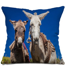 Curious Donkeys In Cabanaconde Village, Peru Pillows 98932888