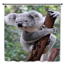 Curious Koala Bath Decor 20359722