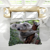 Curious Koala Bedding 20359722