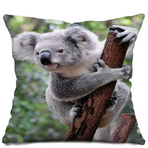 Curious Koala Pillows 20359722