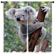 Curious Koala Window Curtains 20359722