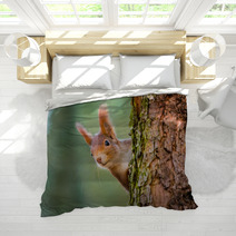 Curious Red Squirrel Peeking Behind The Tree Trunk Bedding 100287424