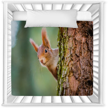 Curious Red Squirrel Peeking Behind The Tree Trunk Nursery Decor 100287424