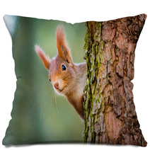 Curious Red Squirrel Peeking Behind The Tree Trunk Pillows 100287424