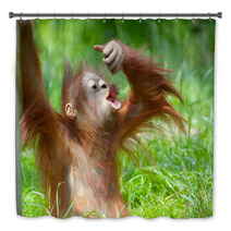 Cute Baby Orangutan Bath Decor 3465618