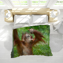 Cute Baby Orangutan Bedding 3465618