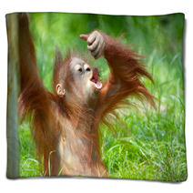 Cute Baby Orangutan Blankets 3465618