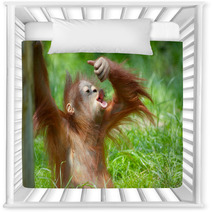 Cute Baby Orangutan Nursery Decor 3465618
