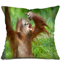 Cute Baby Orangutan Pillows 3465618