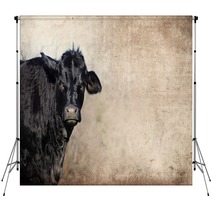 Cute Black Cow On Farm With Grunge Texture Background Great For Agriculture Or Rural Graphics Backdrops 139754893