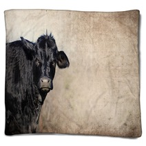 Cute Black Cow On Farm With Grunge Texture Background Great For Agriculture Or Rural Graphics Blankets 139754893