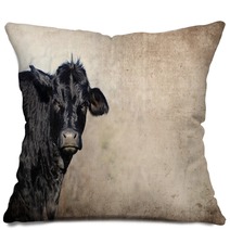 Cute Black Cow On Farm With Grunge Texture Background Great For Agriculture Or Rural Graphics Pillows 139754893