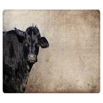 Cute Black Cow On Farm With Grunge Texture Background Great For Agriculture Or Rural Graphics Rugs 139754893