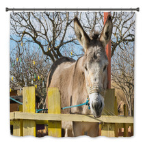 Cute Donkey Portrait At A Park.
 Bath Decor 100515229