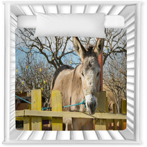 Cute Donkey Portrait At A Park.
 Nursery Decor 100515229