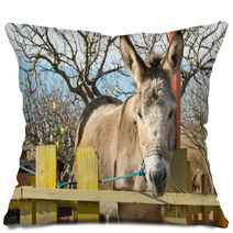 Cute Donkey Portrait At A Park.
 Pillows 100515229