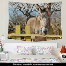 Cute Donkey Portrait At A Park.
 Wall Art 100515229