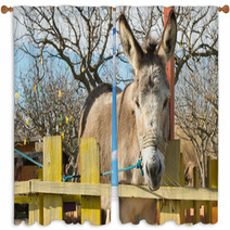 Cute Donkey Portrait At A Park.
 Window Curtains 100515229