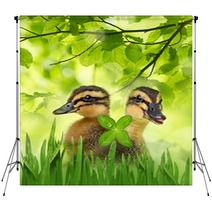 Cute Ducklings Backdrops 99921205
