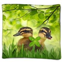 Cute Ducklings Blankets 99921205