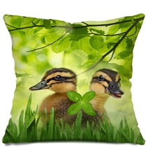 Cute Ducklings Pillows 99921205