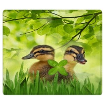 Cute Ducklings Rugs 99921205