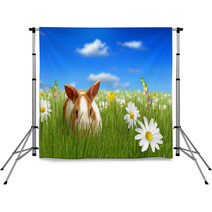 Cute Fluffy Bunny Beside A Flower Hiding On Grass Backdrops 32612532