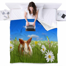 Cute Fluffy Bunny Beside A Flower Hiding On Grass Blankets 32612532