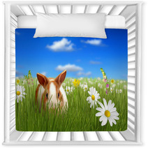 Cute Fluffy Bunny Beside A Flower Hiding On Grass Nursery Decor 32612532