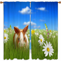 Cute Fluffy Bunny Beside A Flower Hiding On Grass Window Curtains 32612532