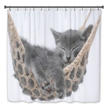 Cute Gray Kitten Lying In Hammock Bath Decor 58490620