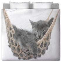 Cute Gray Kitten Lying In Hammock Bedding 58490620