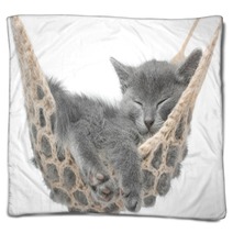 Cute Gray Kitten Lying In Hammock Blankets 58490620