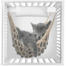 Cute Gray Kitten Lying In Hammock Nursery Decor 58490620