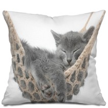 Cute Gray Kitten Lying In Hammock Pillows 58490620